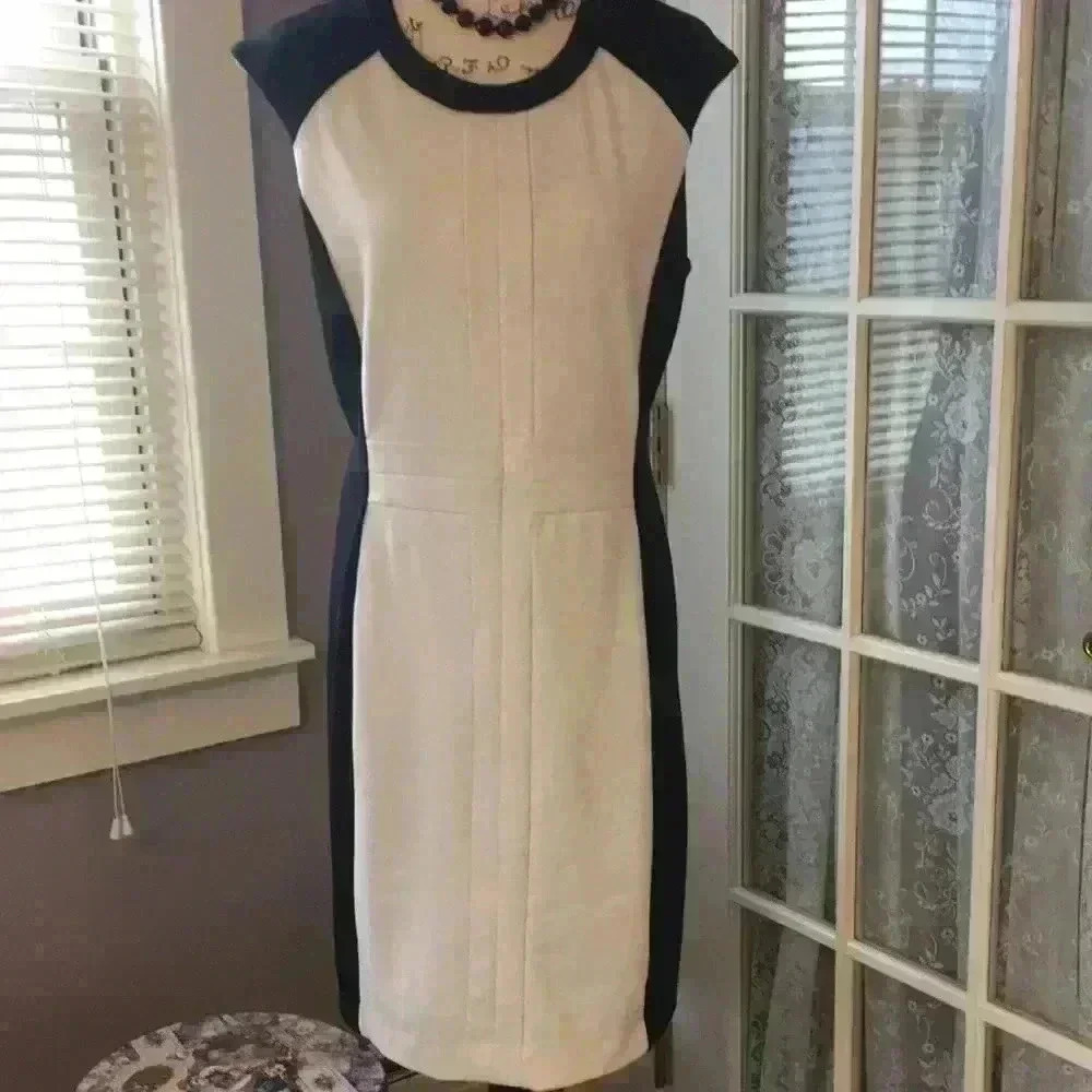 Banana Republic Sheath